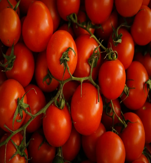 paradajz:-tajne-zdravlja-u-ovom-predivnom-crvenom-plodu.jpg