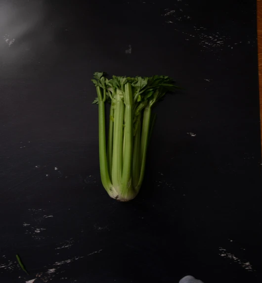 Celer: Superhrana koju trebate uključiti u svoju prehranu